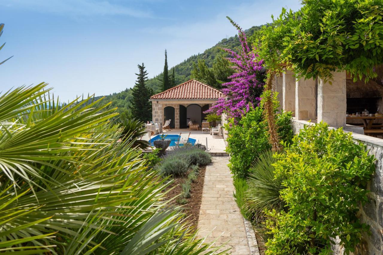 Villa Schola Brsečine المظهر الخارجي الصورة