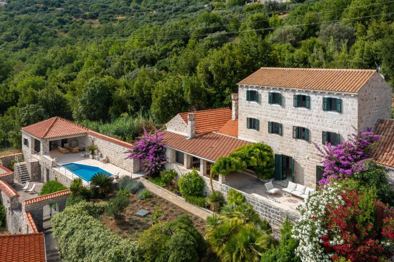 Villa Schola Brsečine المظهر الخارجي الصورة